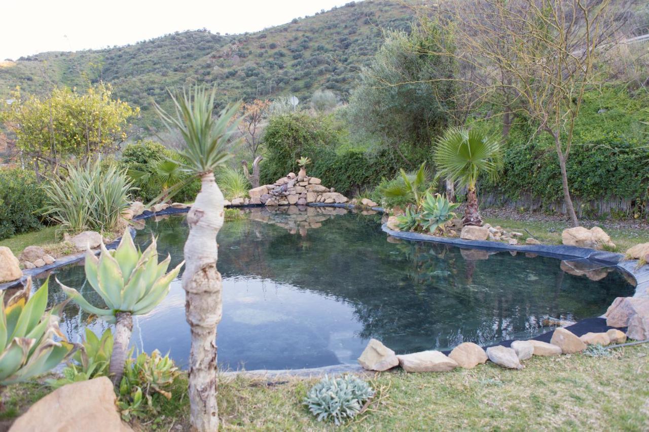 Hotel Cortijo San Antonio Caminito De Rey Casarabonela ภายนอก รูปภาพ